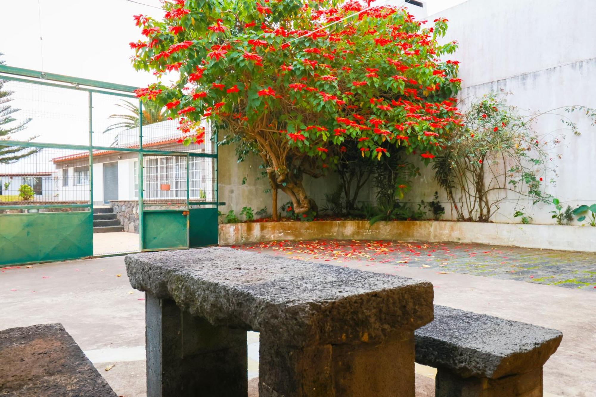 Casa Barao Das Laranjeiras Ponta Delgada Kültér fotó